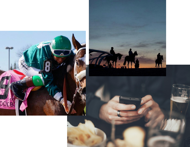 Collage of images with horse racing and people using their mobile phones to place bets. 