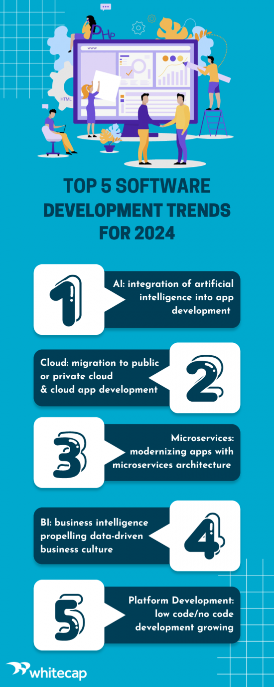 2024 software development trends inforgraphic