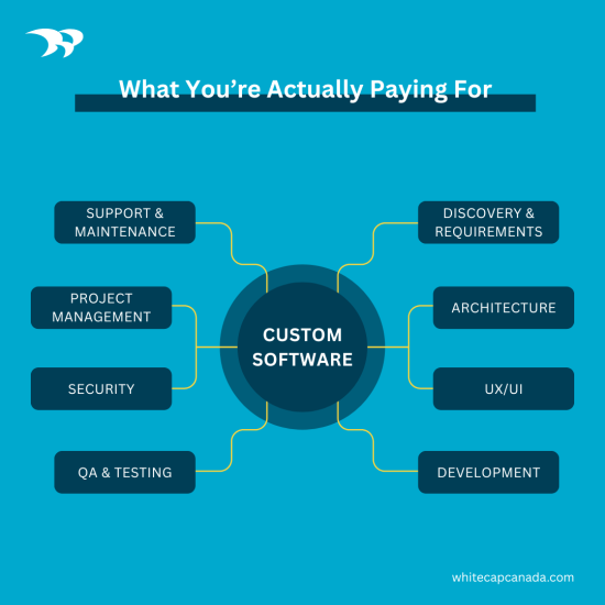 What You’re Actually Paying For with custom software infographic